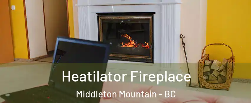  Heatilator Fireplace Middleton Mountain - BC