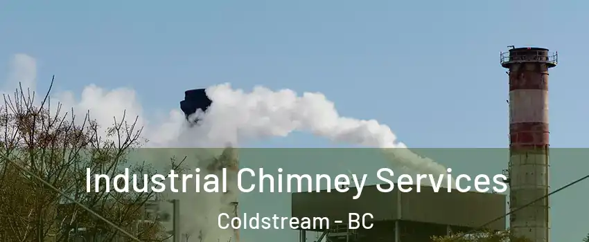  Industrial Chimney Services Coldstream - BC