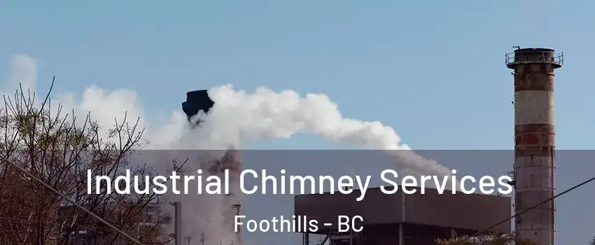  Industrial Chimney Services Foothills - BC