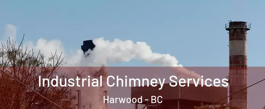  Industrial Chimney Services Harwood - BC