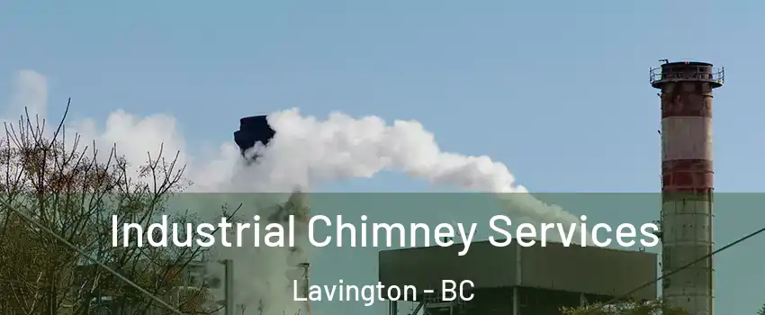  Industrial Chimney Services Lavington - BC