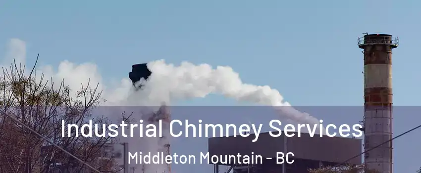  Industrial Chimney Services Middleton Mountain - BC