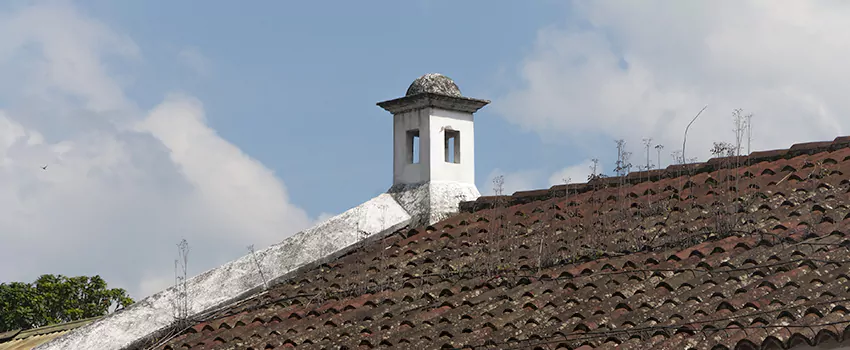 Wind-Resistant Chimney Caps Installation and Repair Services in East Hill, British Columbia