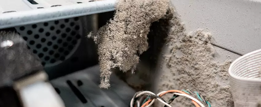 Clogged Dryer Vent Lint Cleaning in East Hill, British Columbia