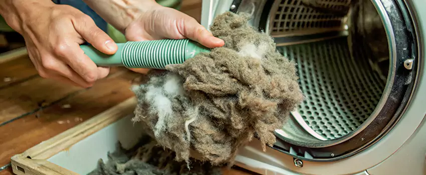 Best Dryer Lint Removal Company in East Hill, British Columbia