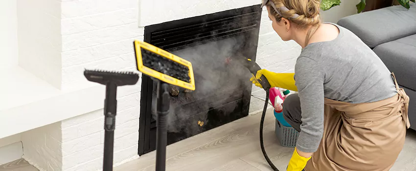 Fireplace Doors Cleaning in East Hill, British Columbia