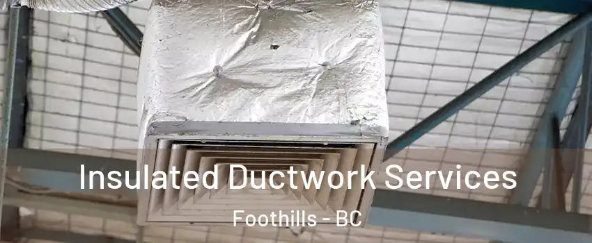  Insulated Ductwork Services Foothills - BC