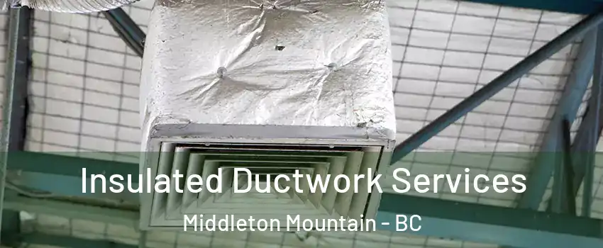  Insulated Ductwork Services Middleton Mountain - BC