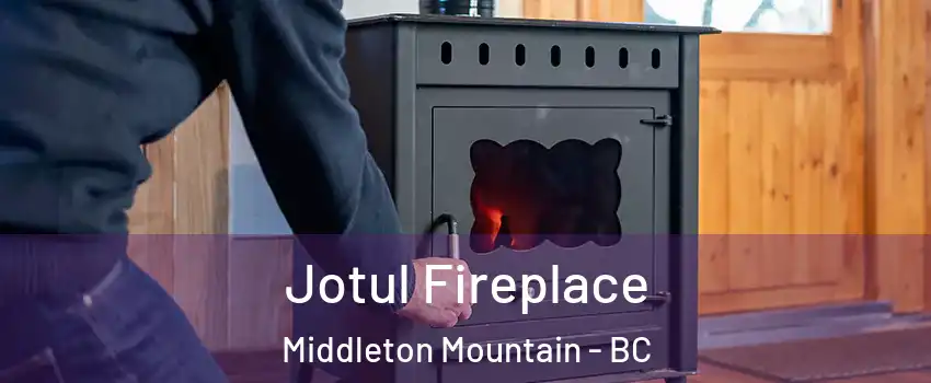  Jotul Fireplace Middleton Mountain - BC