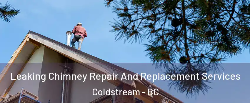  Leaking Chimney Repair And Replacement Services Coldstream - BC