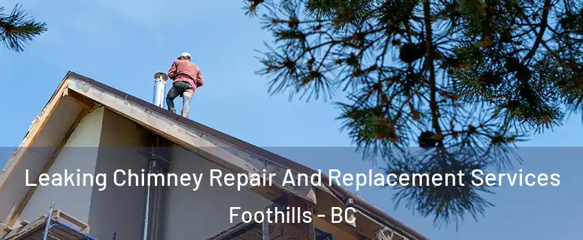  Leaking Chimney Repair And Replacement Services Foothills - BC
