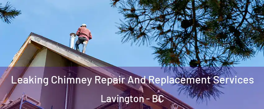  Leaking Chimney Repair And Replacement Services Lavington - BC