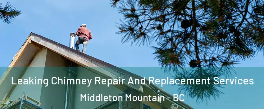  Leaking Chimney Repair And Replacement Services Middleton Mountain - BC