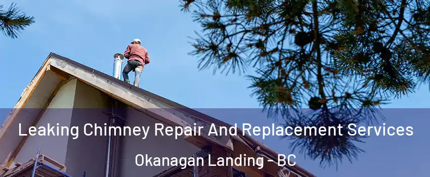  Leaking Chimney Repair And Replacement Services Okanagan Landing - BC