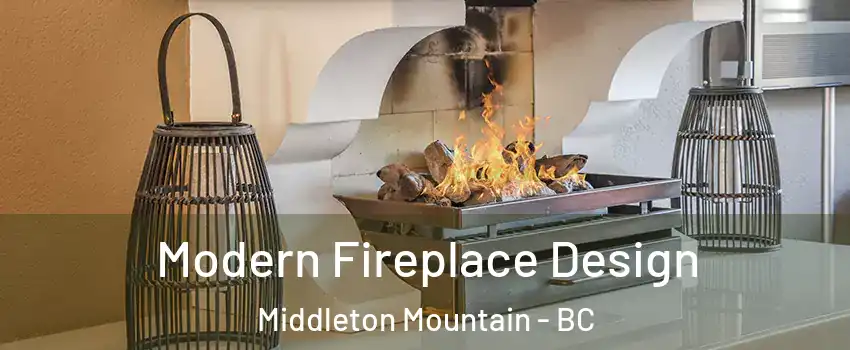  Modern Fireplace Design Middleton Mountain - BC