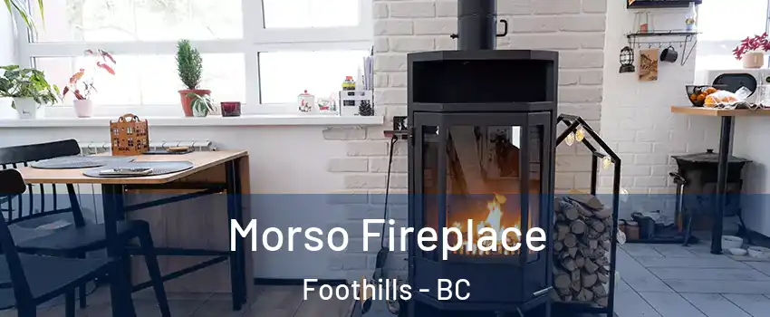  Morso Fireplace Foothills - BC
