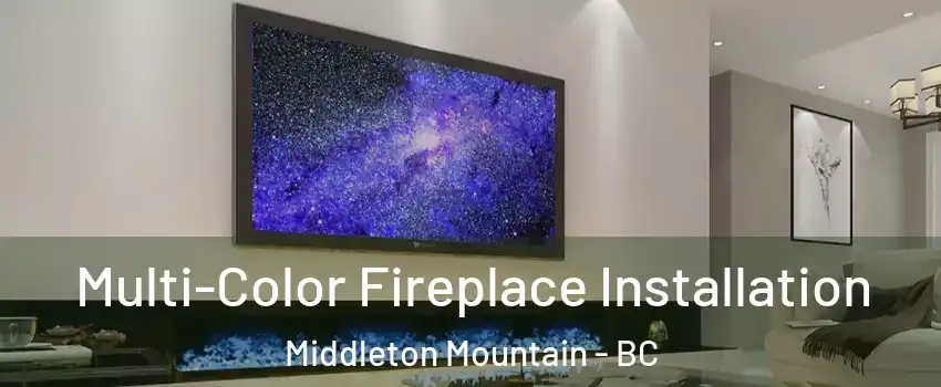  Multi-Color Fireplace Installation Middleton Mountain - BC