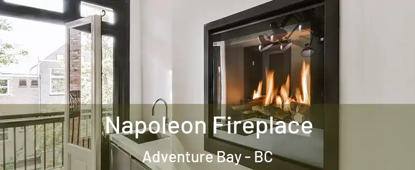  Napoleon Fireplace Adventure Bay - BC