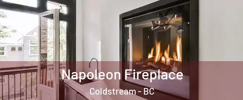  Napoleon Fireplace Coldstream - BC