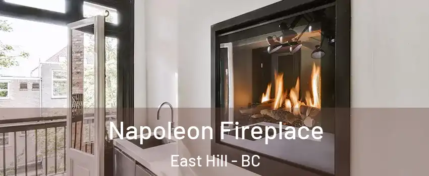  Napoleon Fireplace East Hill - BC