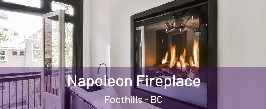 Napoleon Fireplace Foothills - BC