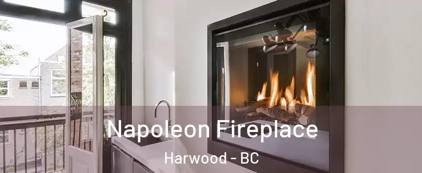  Napoleon Fireplace Harwood - BC