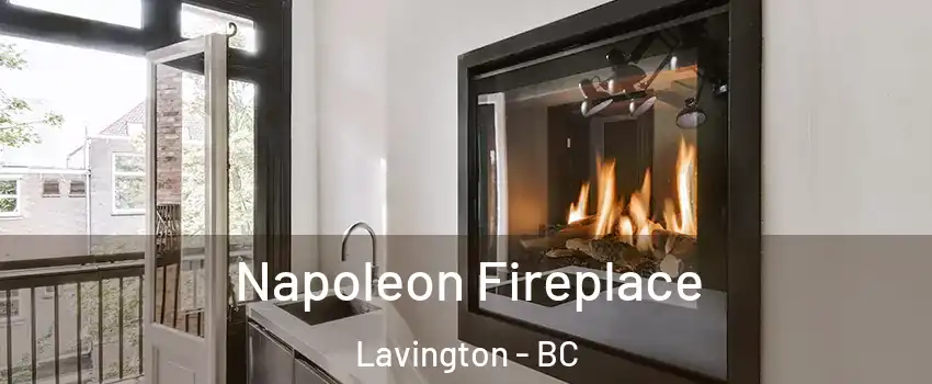  Napoleon Fireplace Lavington - BC