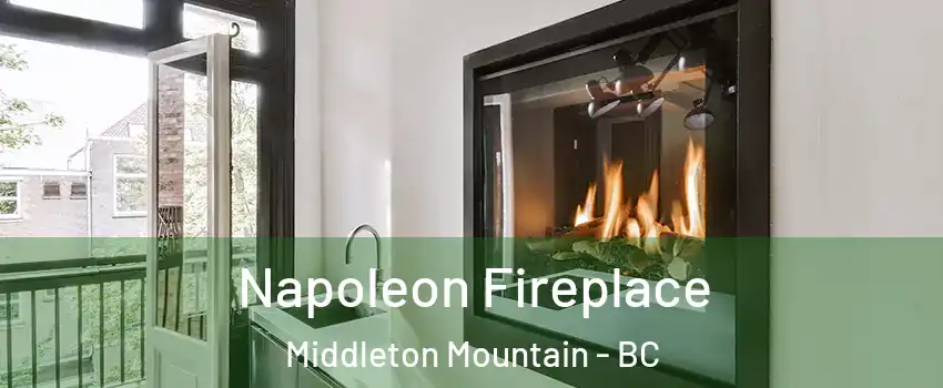  Napoleon Fireplace Middleton Mountain - BC