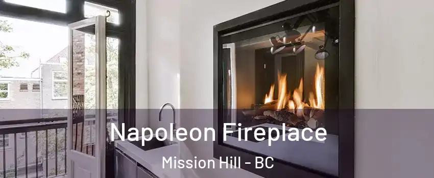  Napoleon Fireplace Mission Hill - BC