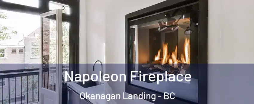  Napoleon Fireplace Okanagan Landing - BC
