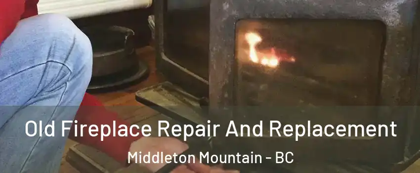  Old Fireplace Repair And Replacement Middleton Mountain - BC