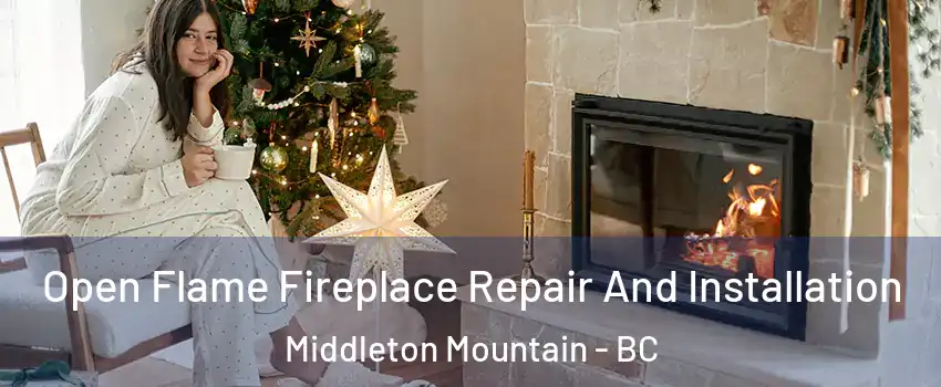  Open Flame Fireplace Repair And Installation Middleton Mountain - BC