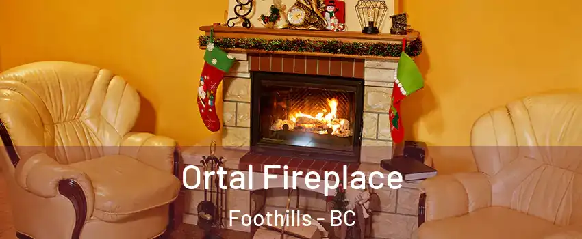 Ortal Fireplace Foothills - BC