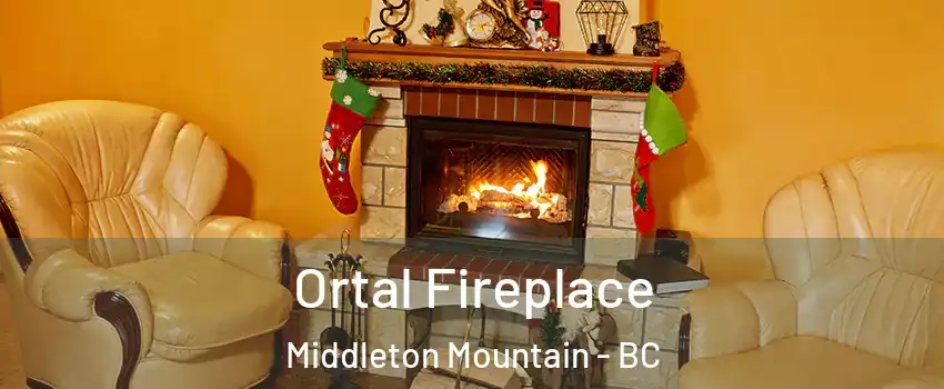 Ortal Fireplace Middleton Mountain - BC
