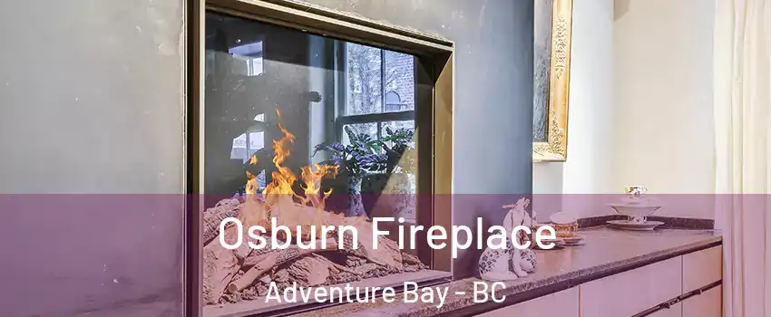  Osburn Fireplace Adventure Bay - BC