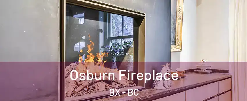  Osburn Fireplace BX - BC