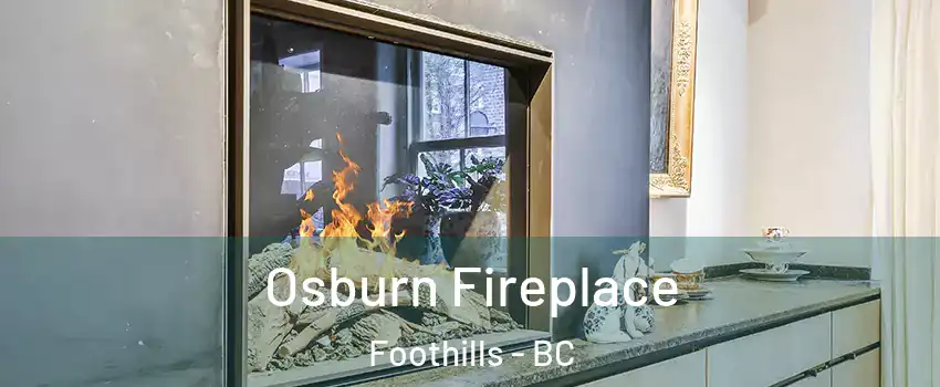  Osburn Fireplace Foothills - BC