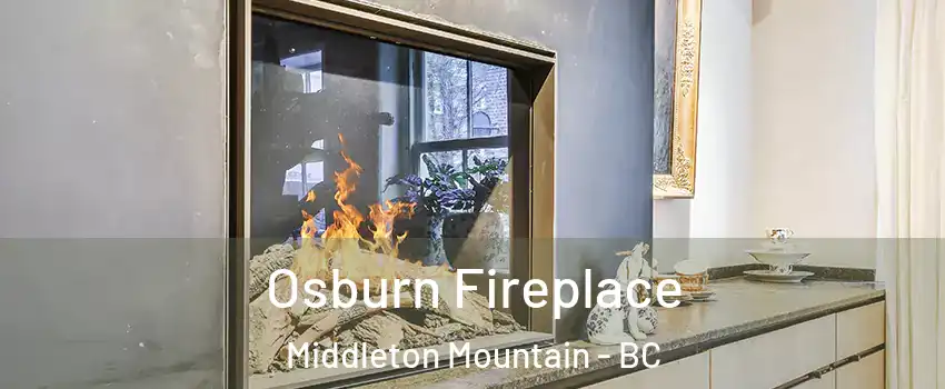  Osburn Fireplace Middleton Mountain - BC