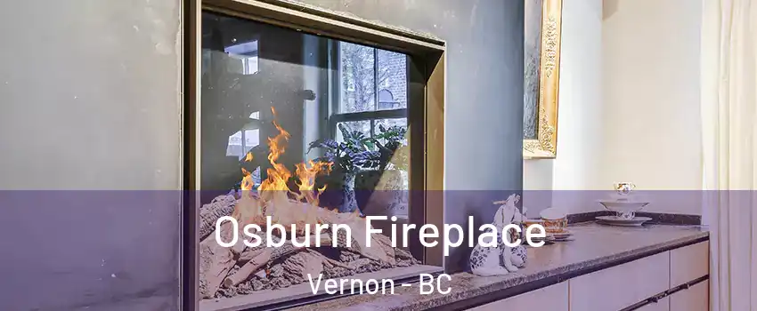  Osburn Fireplace Vernon - BC