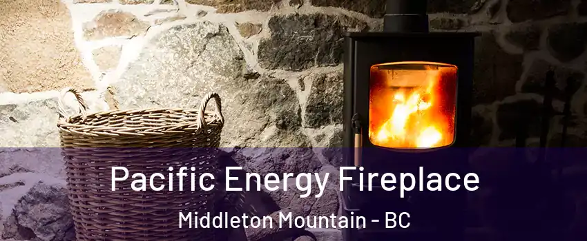  Pacific Energy Fireplace Middleton Mountain - BC