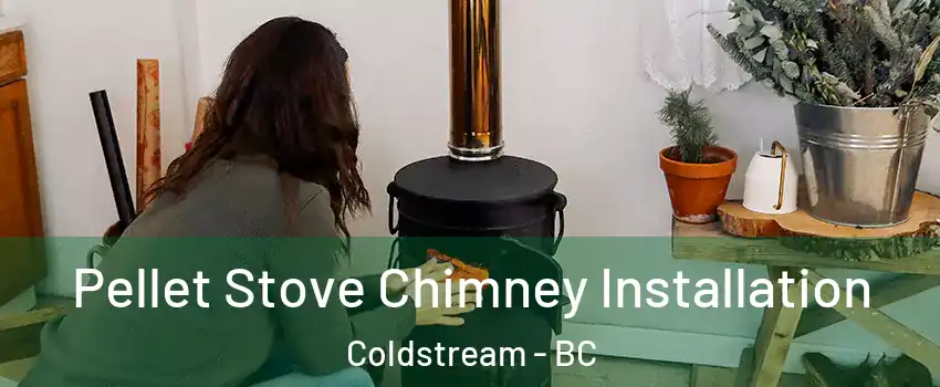  Pellet Stove Chimney Installation Coldstream - BC