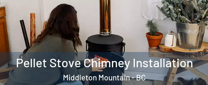  Pellet Stove Chimney Installation Middleton Mountain - BC