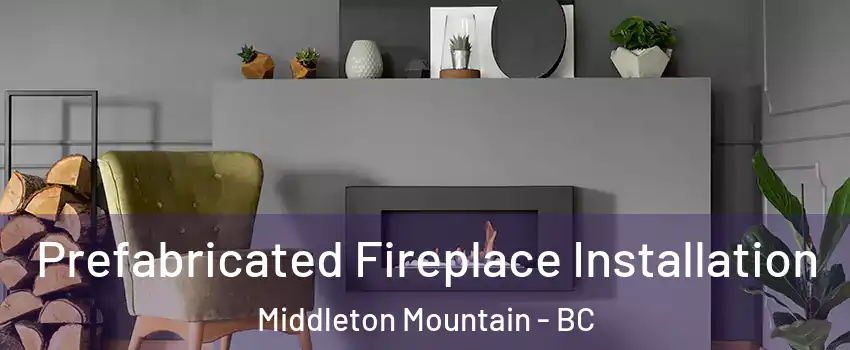  Prefabricated Fireplace Installation Middleton Mountain - BC