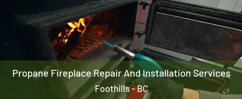 Propane Fireplace Repair And Installation Services Foothills - BC