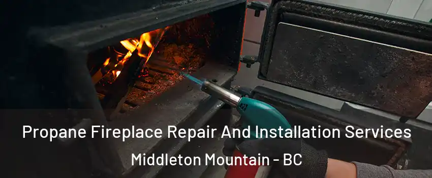Propane Fireplace Repair And Installation Services Middleton Mountain - BC