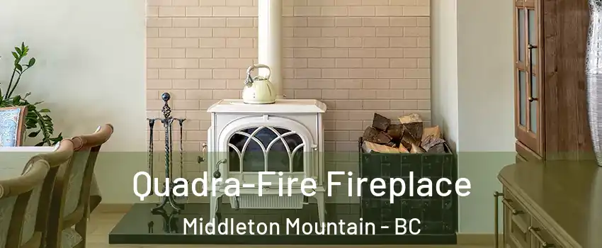  Quadra-Fire Fireplace Middleton Mountain - BC