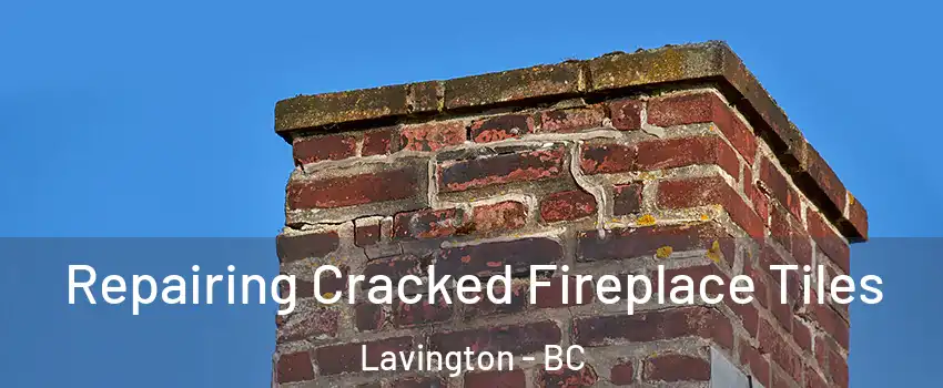  Repairing Cracked Fireplace Tiles Lavington - BC