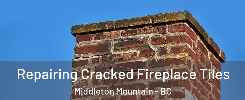  Repairing Cracked Fireplace Tiles Middleton Mountain - BC
