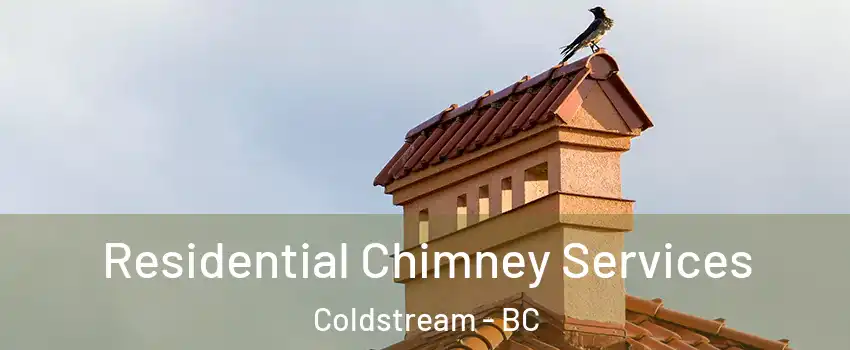  Residential Chimney Services Coldstream - BC
