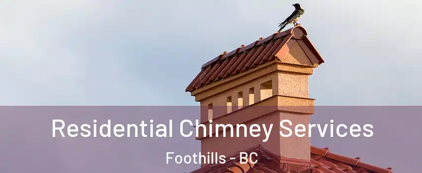  Residential Chimney Services Foothills - BC